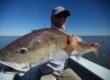 Louisiana Fly Fishing