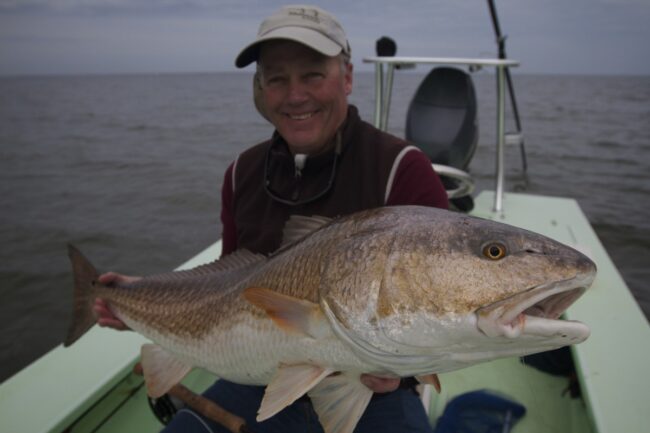 Louisiana Bull Redfish