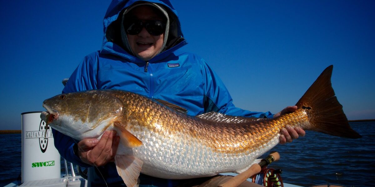 New Orleans LA. Bull Redfish