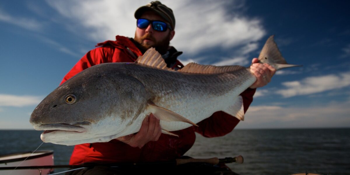 Angler with Louisiana Redfish New Orleans Redfish