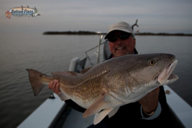 IMG_4068 Louisiana Bull Redfish