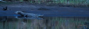 IMG_4308