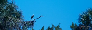 IMG_4357