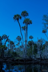 IMG_4409