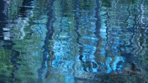 IMG_4425