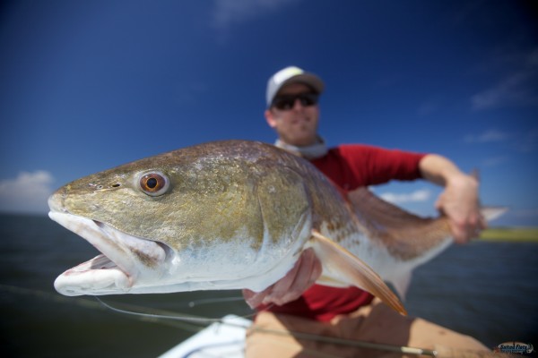 Fly Fishing the Gulf off Louisiana