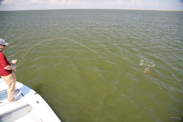 Louisiana Marsh Fly Fishing