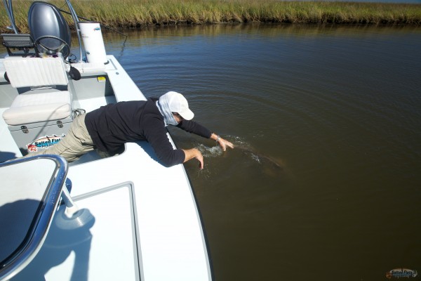 Catch and Release Fly Fishing
