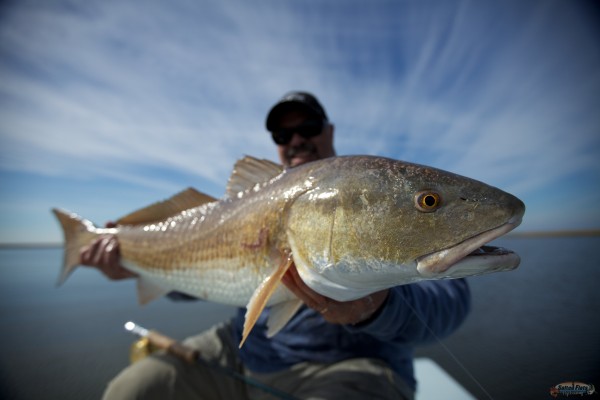 Fly fishing the Flats of Louisiana.
