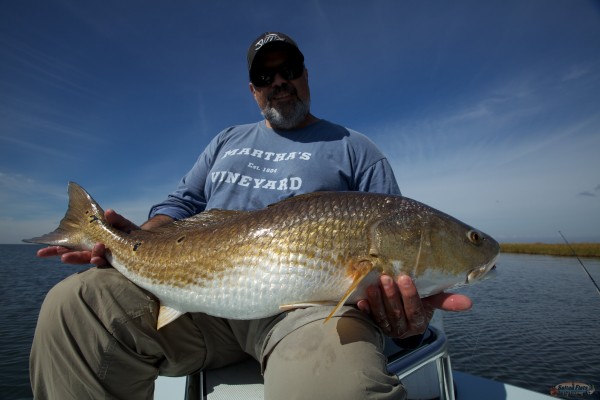 This is what Louisiana is all about.