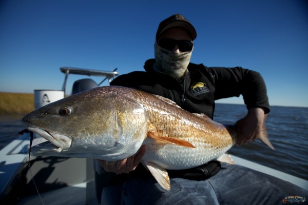 28.5 lbs!