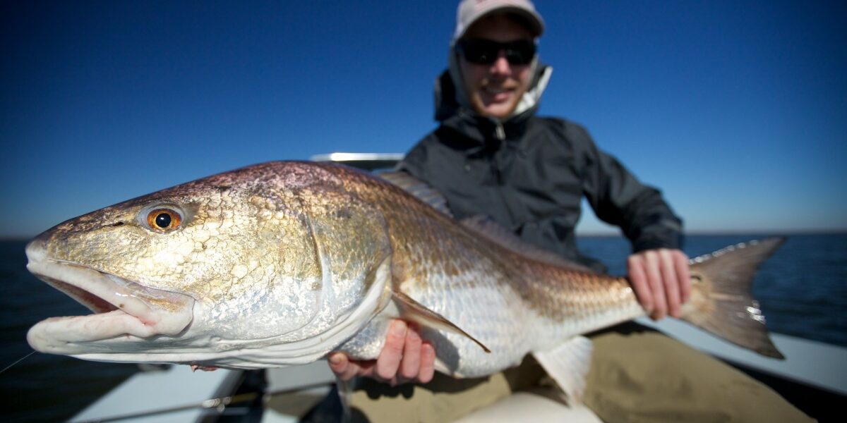 Louisiana Fly Fishing