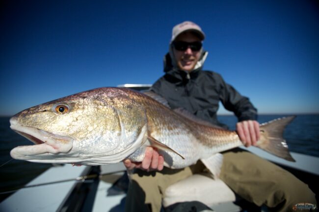Louisiana Fly Fishing