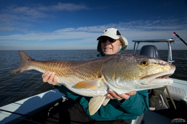 Louisiana Redfish
