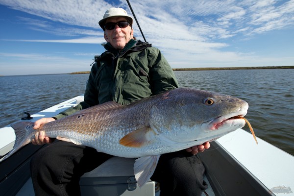 Monster Bull Redfish