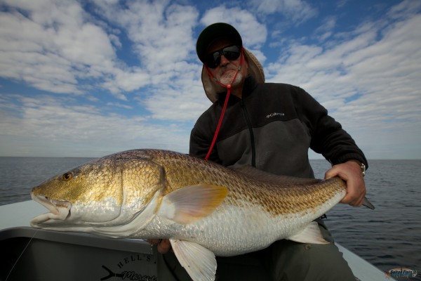 Giant Louisiana Marsh Bull Redfish