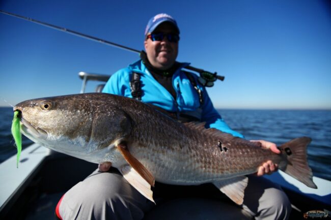 IMG_1594 Bull Redfish