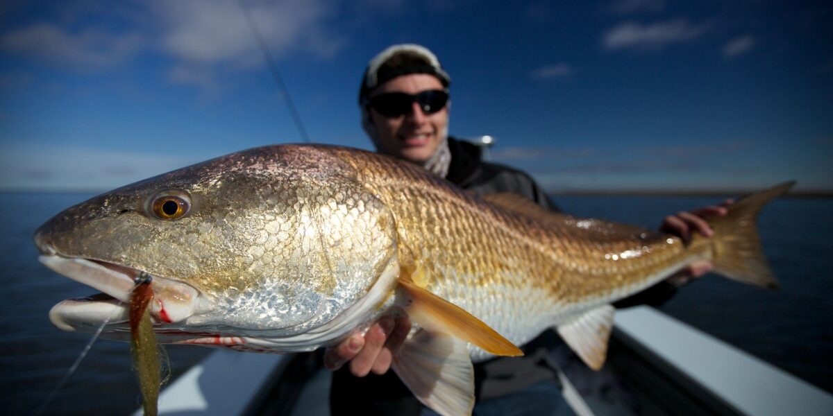 IMG_1600 Louisiana Redfish