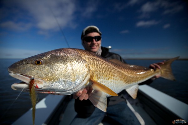 Louisiana Redfish