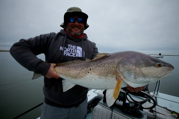 Redfish