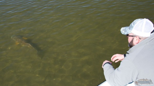the release