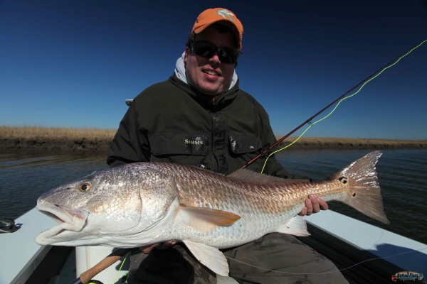 Bull Redfish