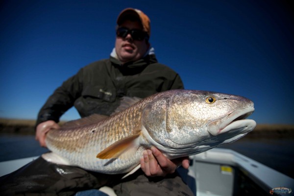 New Orleans Redfish