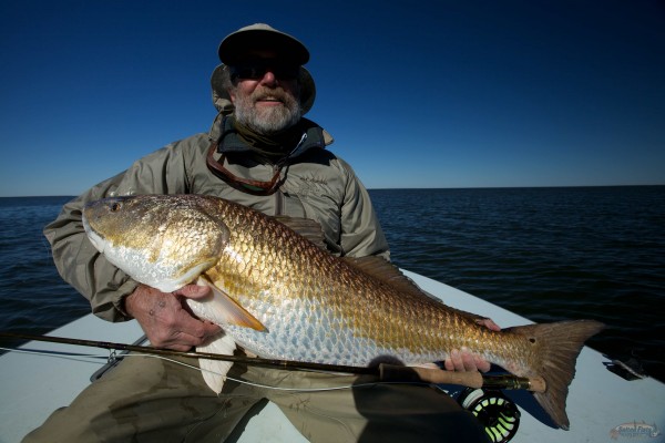 30 pound Redfish