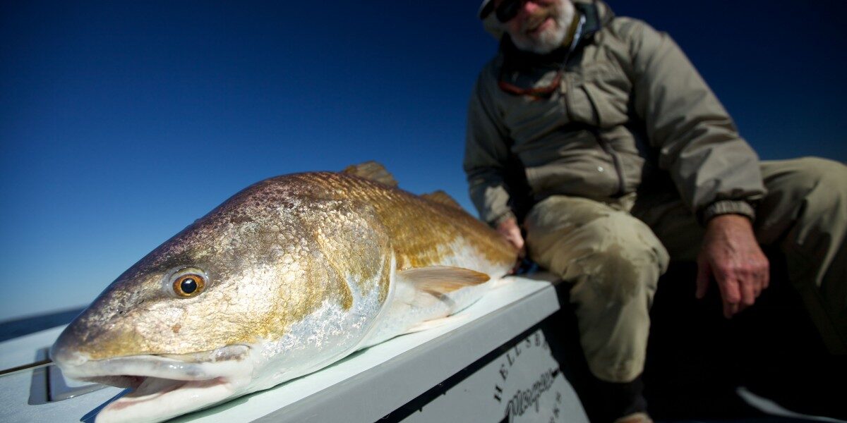 IMG_1751 Louisiana Fly Fishing Guide