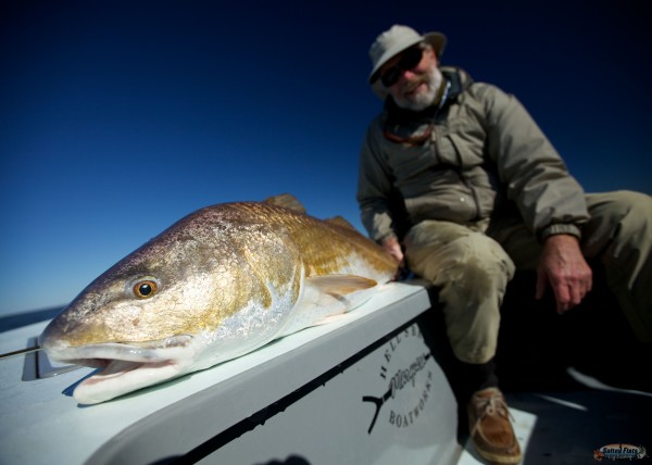 Louisiana Bull Redfish