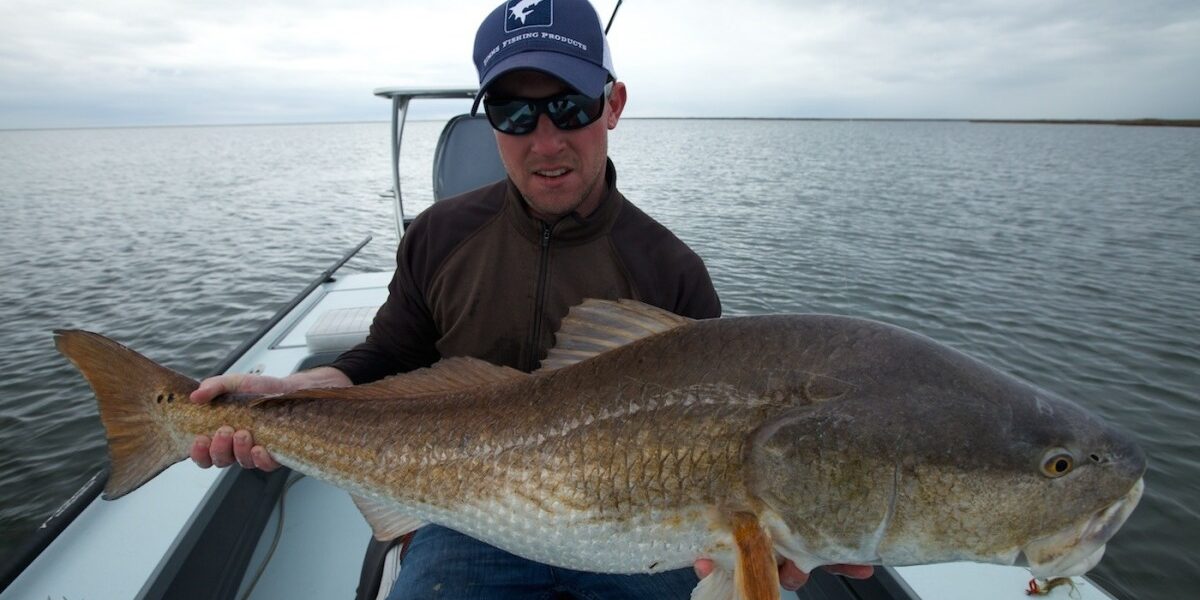 IMG_1900 Bull Redfish in Louisiana