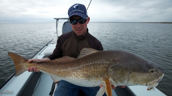 Bull Redfish in Louisiana