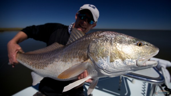 Louisiana Fly Fishing for Redfish