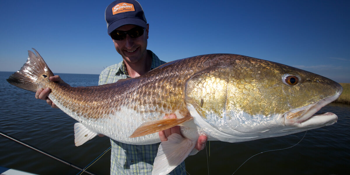 Louisiana Fly Fishing Redfish Louisiana Fly Fishing Redfish
