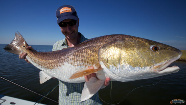 Louisiana Fly Fishing Redfish