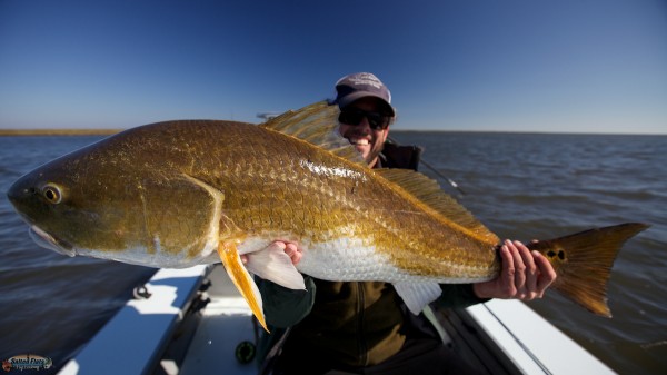 Fly Fishing New Orleans for Redfish