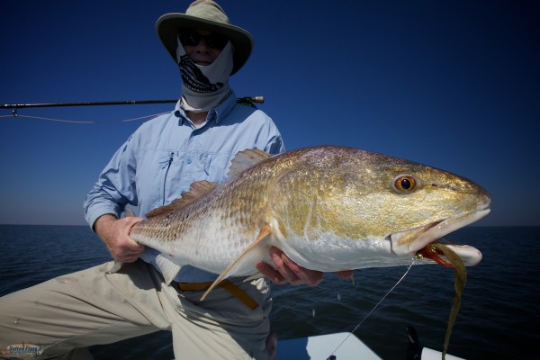 Fly Fishing New Orleans Redfish