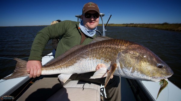 Fly Fishing New Orleans Redfish