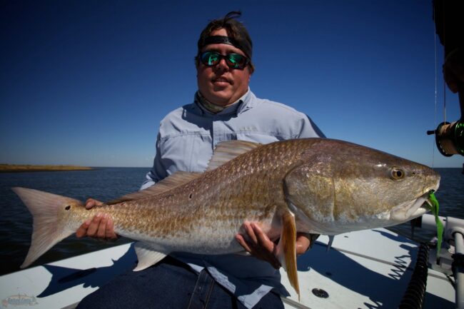 New Orleans Fly Fishing Redfish Fly Fishing New Orleans with Capt. Doug Henderson