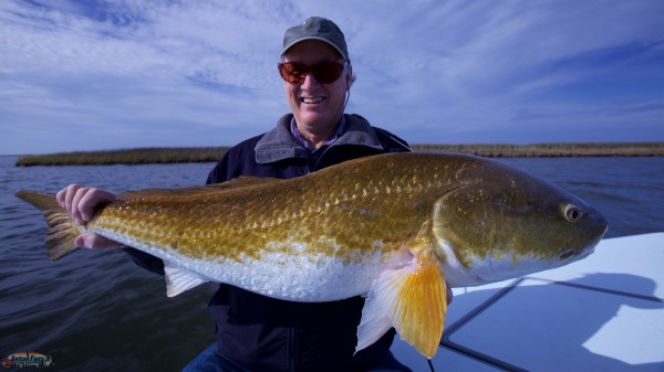 Louisiana Fly Fishing Redfish