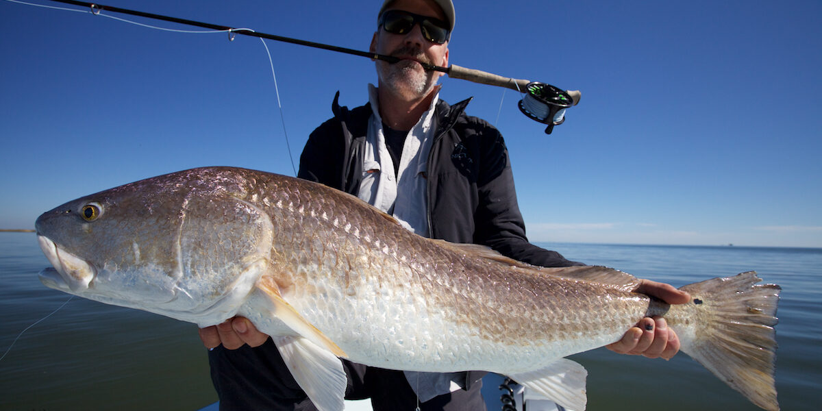 November Louisiana Fly Fishing Redfish Fly Fishing Louisiana Redfish