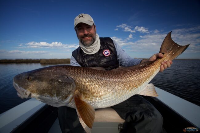 Louisiana Fly Fishing for Redfish