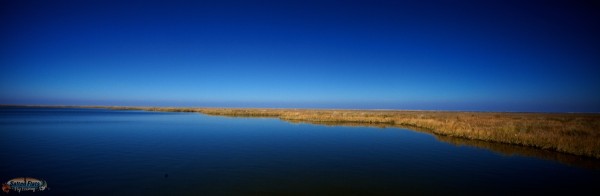 Fly Fishing Redfish in Louisiana
