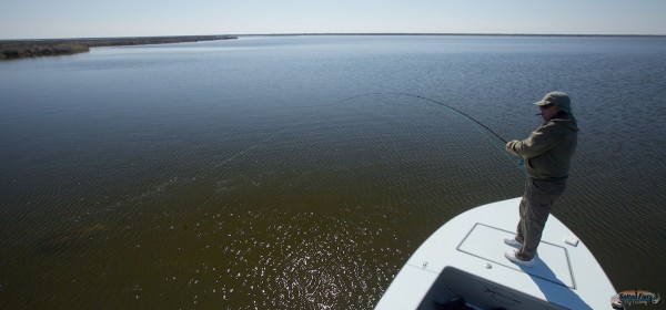 Hooked up in Louisiana