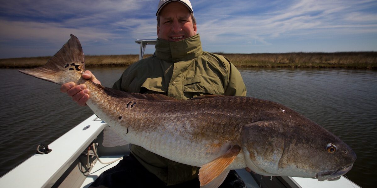 Charter fish Louisiana Redfish