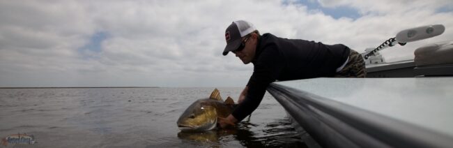 Louisiana Fly Fishing Guide