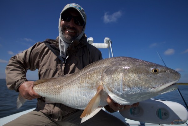 Charter Fly Fishing Louisiana redfish