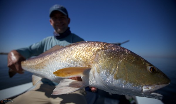 October Fly Fishing in Louisiana