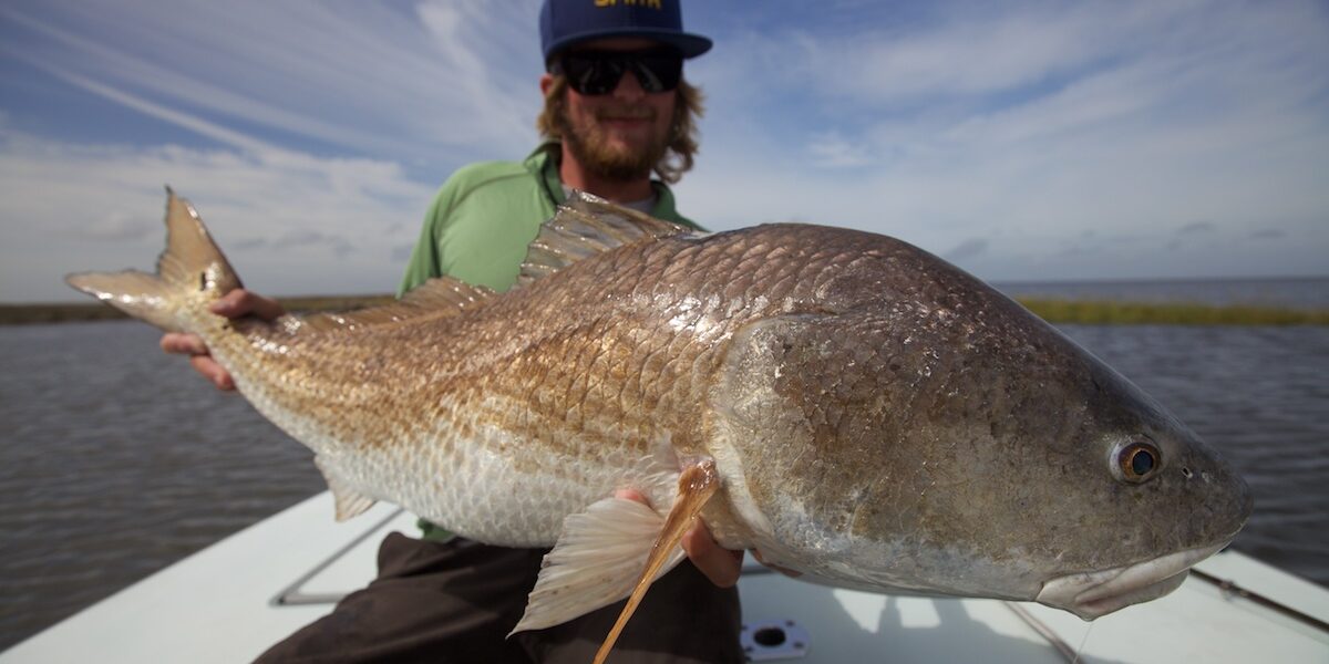 Louisiana Fly Fishing Redfish October Fly Fishing in Louisiana