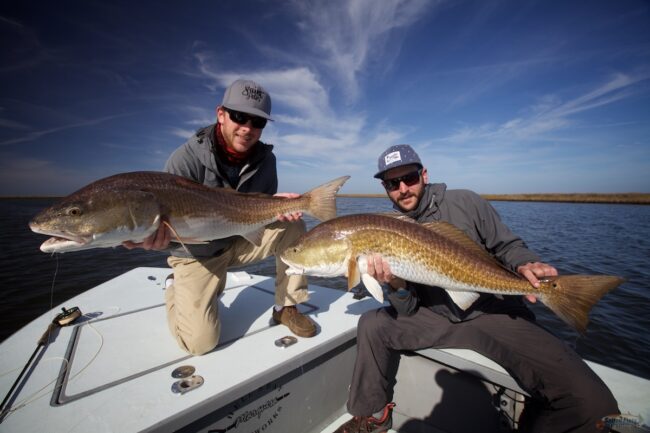 Louisiana Fly Fishing Rdfish
